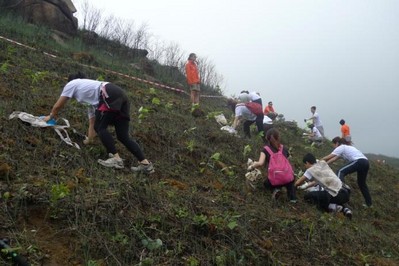 今年逾700人報(bào)名參加，為一幅去年被山火燒去大范圍林木的山坡種植約6,000棵樹苗。