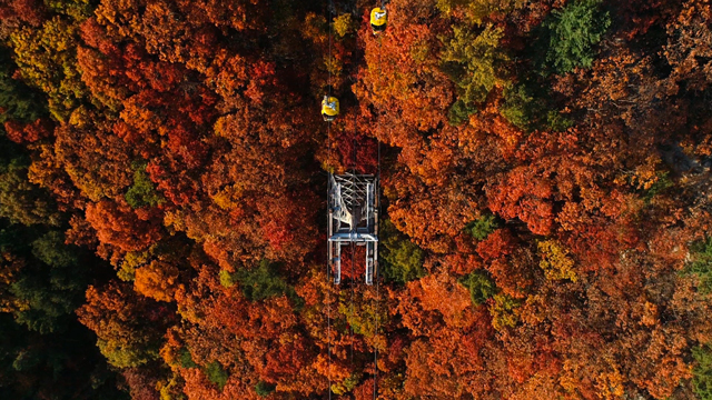 新興的生態(tài)旅游城市“Natural Daegu”